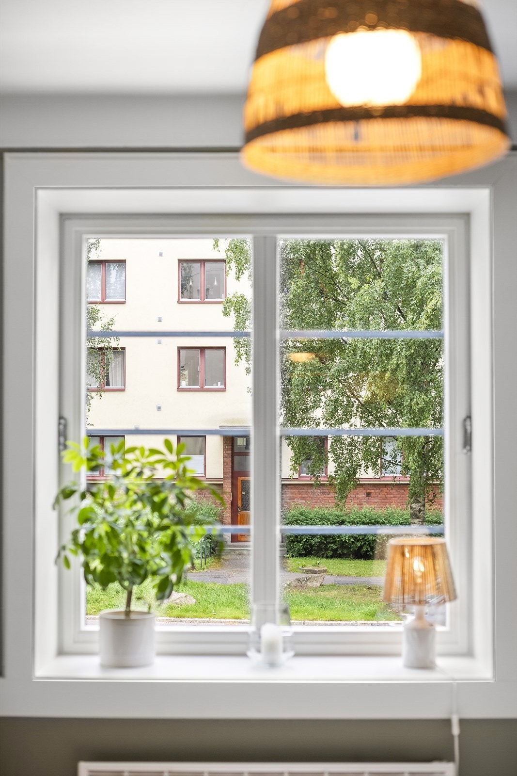 Hyggelig og frodig utsyn fra stuevindu. Galleribilde