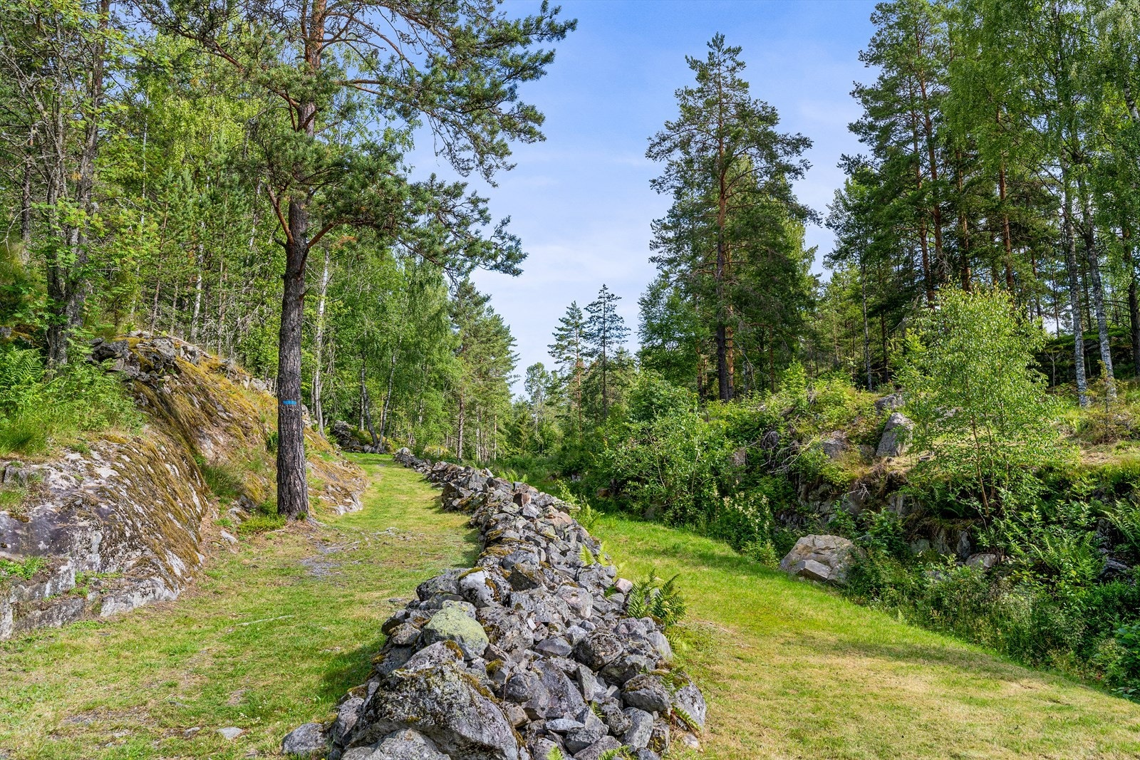 Rett bak boligen kan du følge de historiske fegatene opp mot løkkelandskapet. Galleribilde