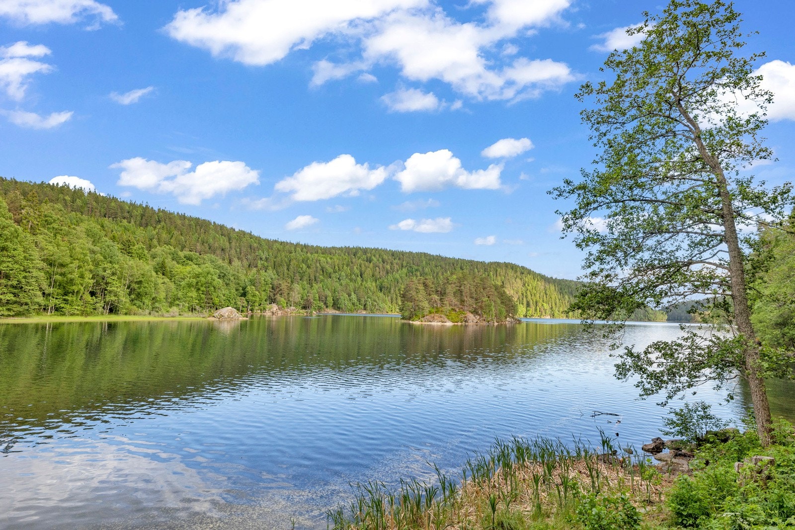 Det er fin vei for sykkel eller barnevogn inn til idylliske Lutvann, med flotte bademuligheter om sommeren og skøyteis om vinteren Galleribilde