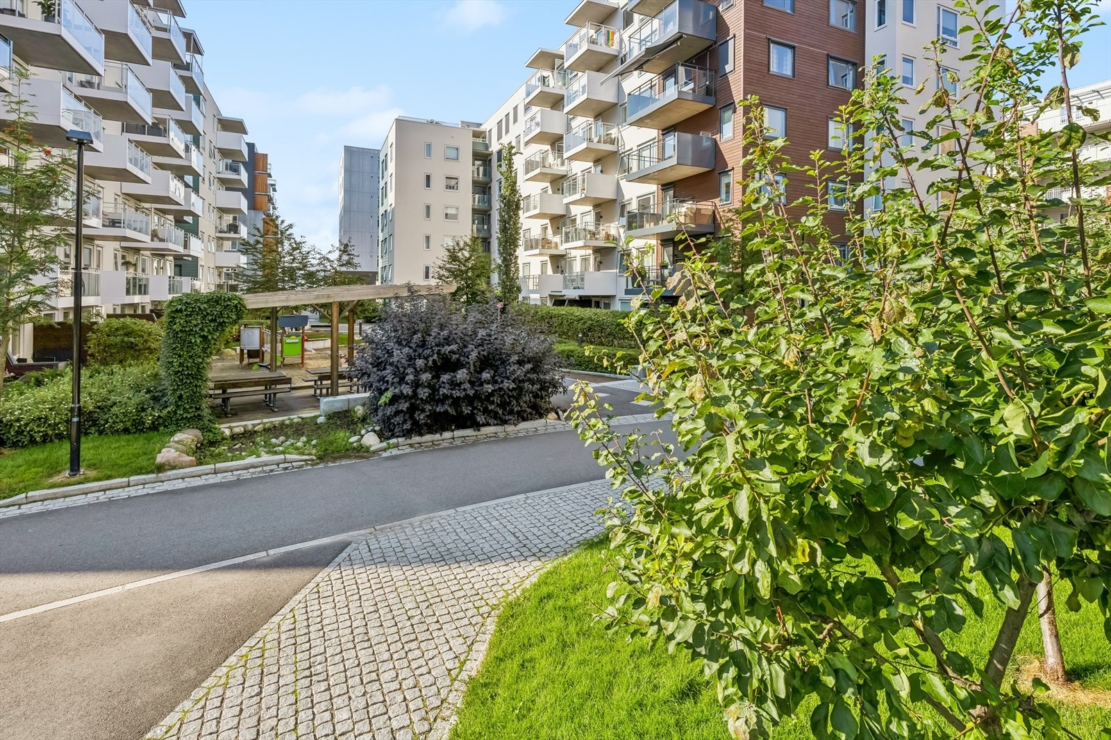 Bildet er tatt fra borettslagets felles tomt. Galleribilde