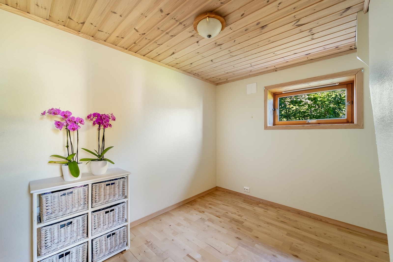 Disp rom underetasje Galleribilde