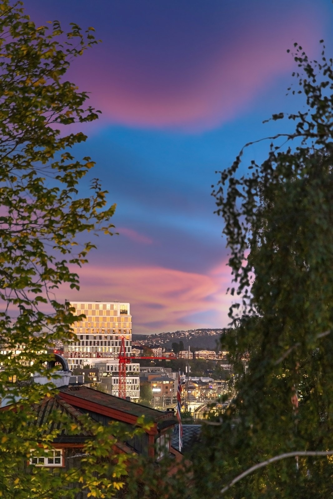 Utsikt fra terrassen. Galleribilde
