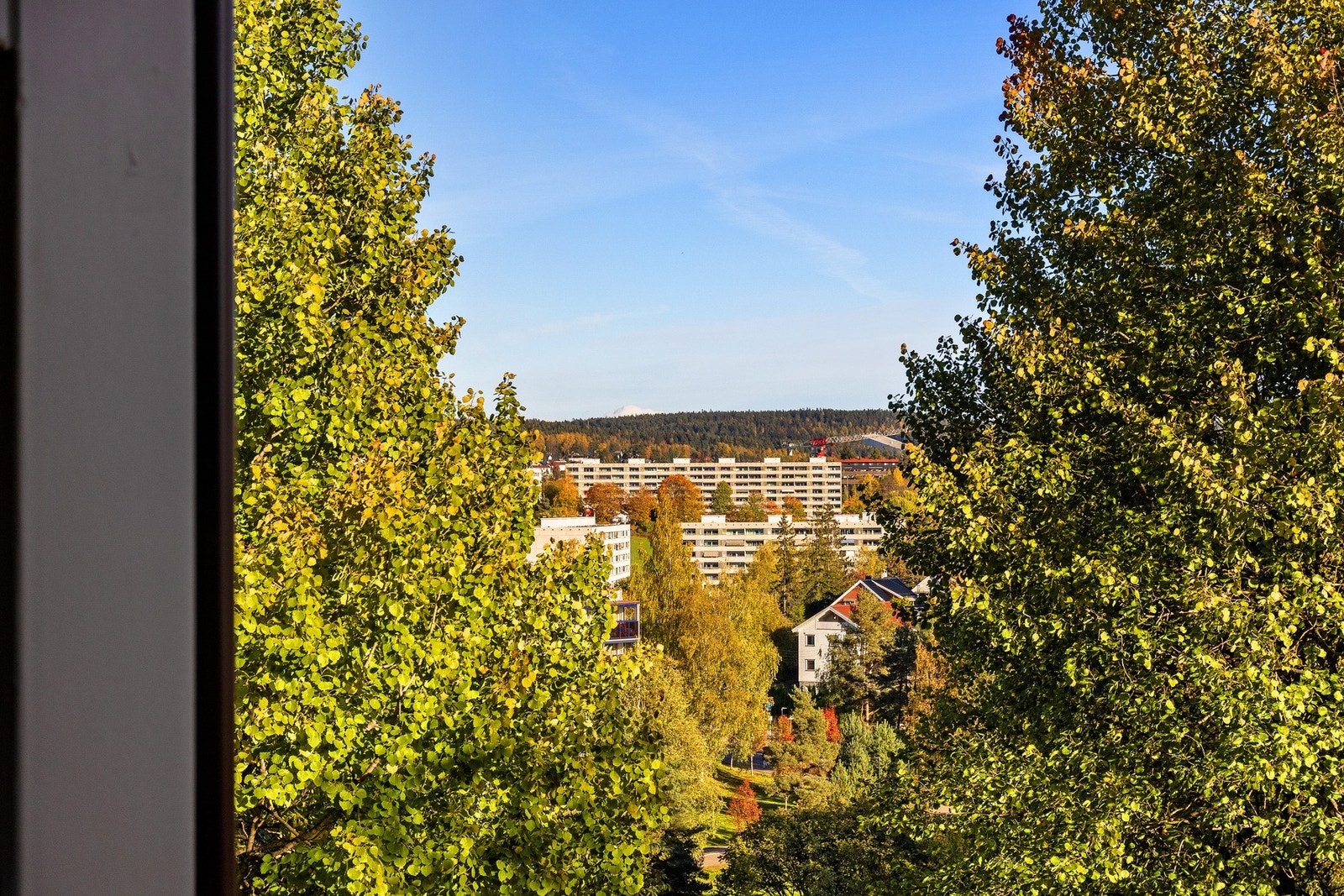Boligen ligger på et naturlig høydedrag som bidrar til fin utsikt fra både balkong og gjennom vinduene i boligen Galleribilde