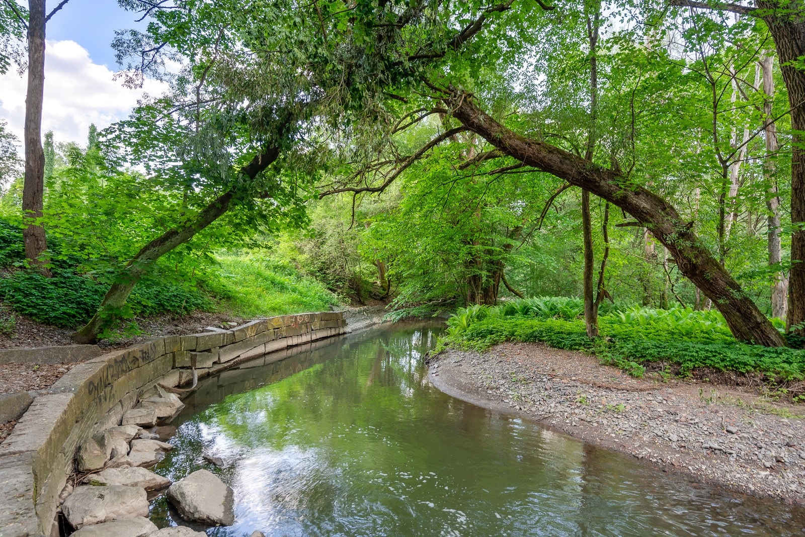 Svartdalsparken er kun en kort spasertur unna, men idylliske Alnaelva og kilometerlange turstier. Galleribilde