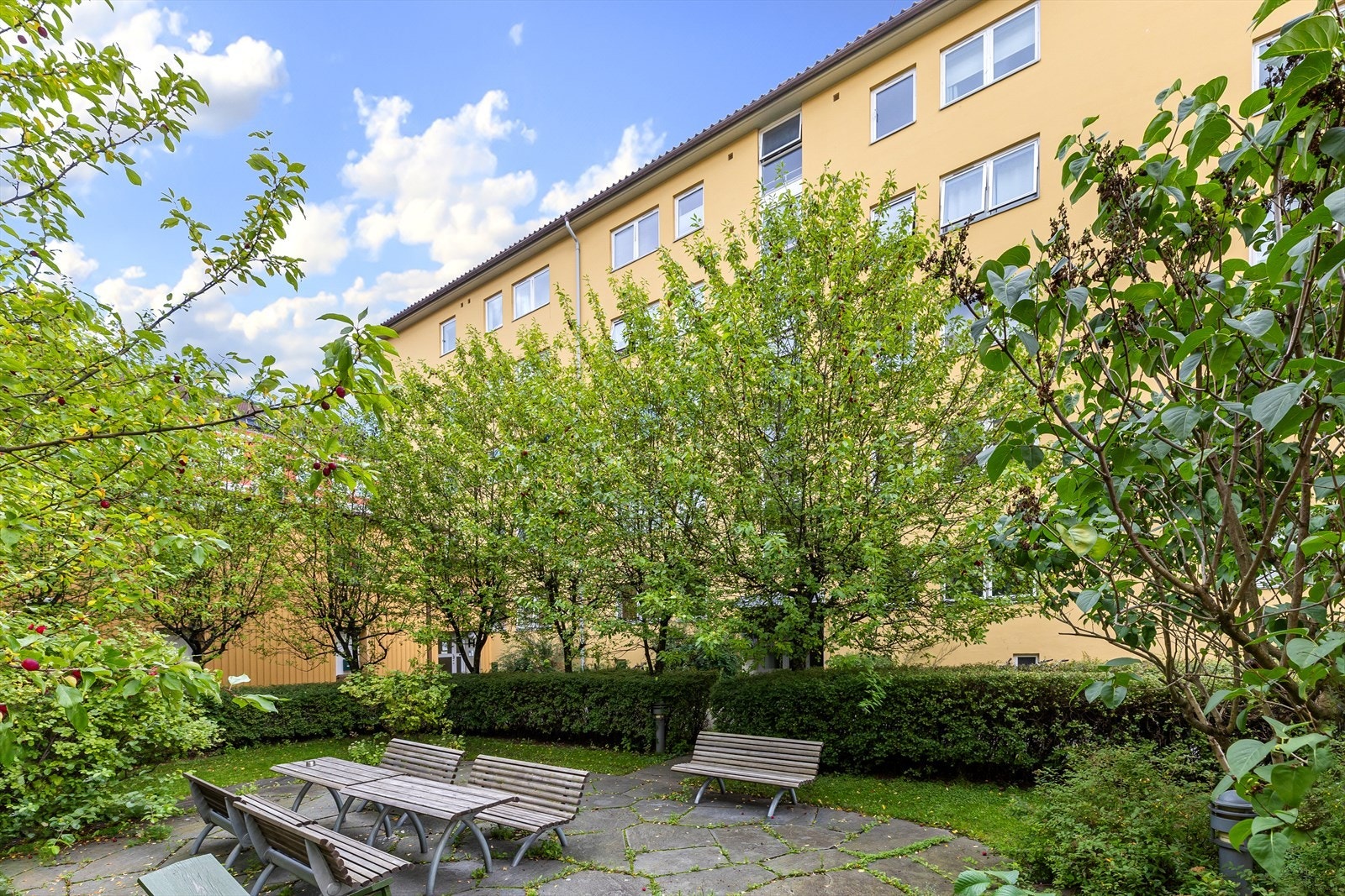 Sjarmerende fellesområde med sittegruppe og frodig beplantning. Galleribilde