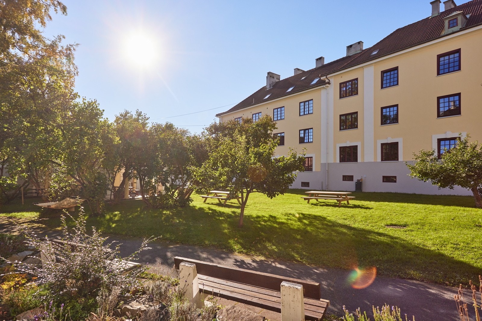 Sosialt borettslag med julegrantenning, sommerfest og utekino på høsten. Galleribilde