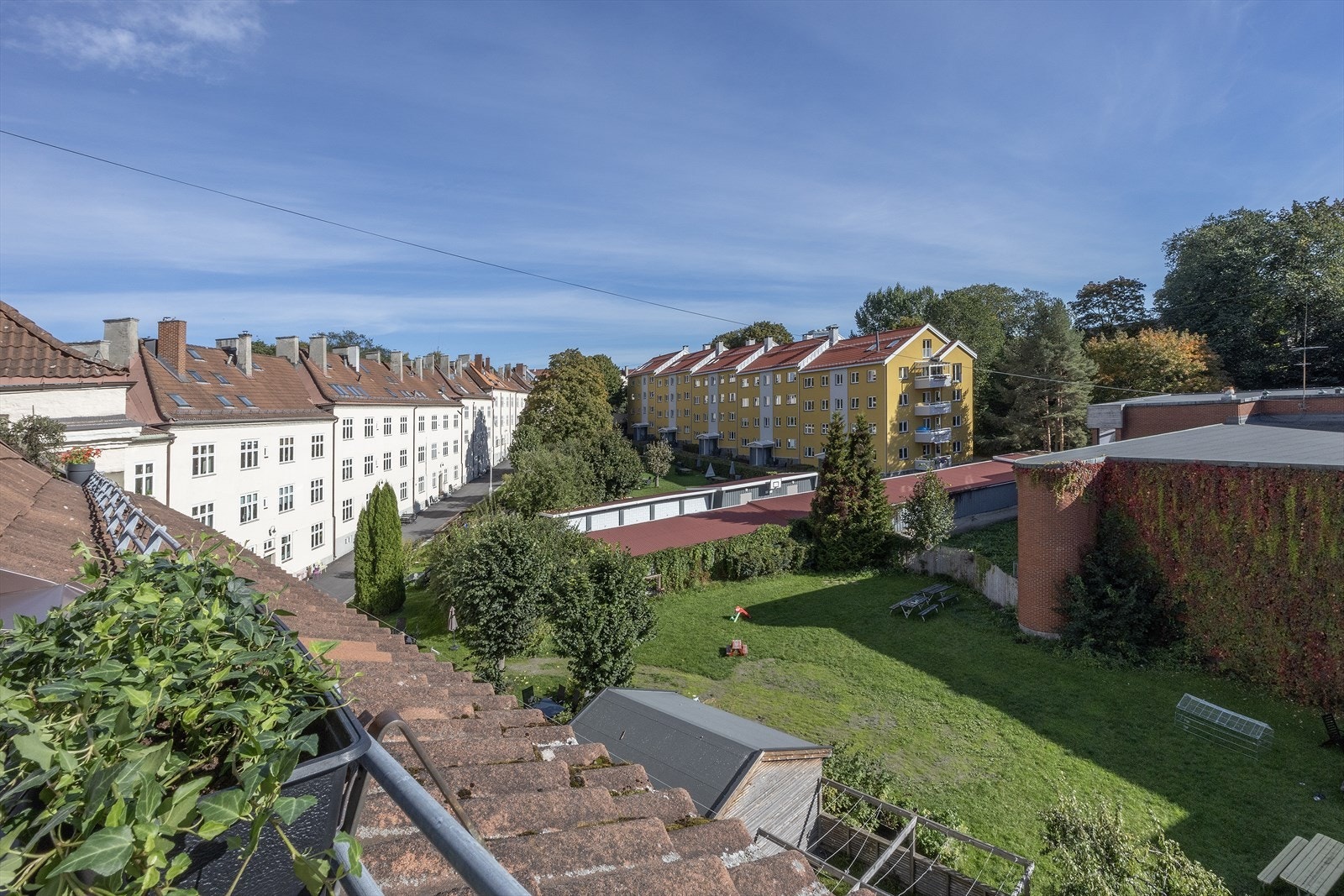 Nyt utsikten over bakgården Galleribilde