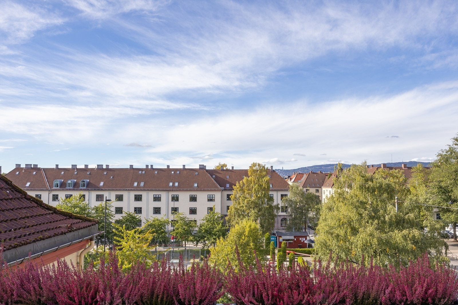 Nyt utsikten herfra! Galleribilde