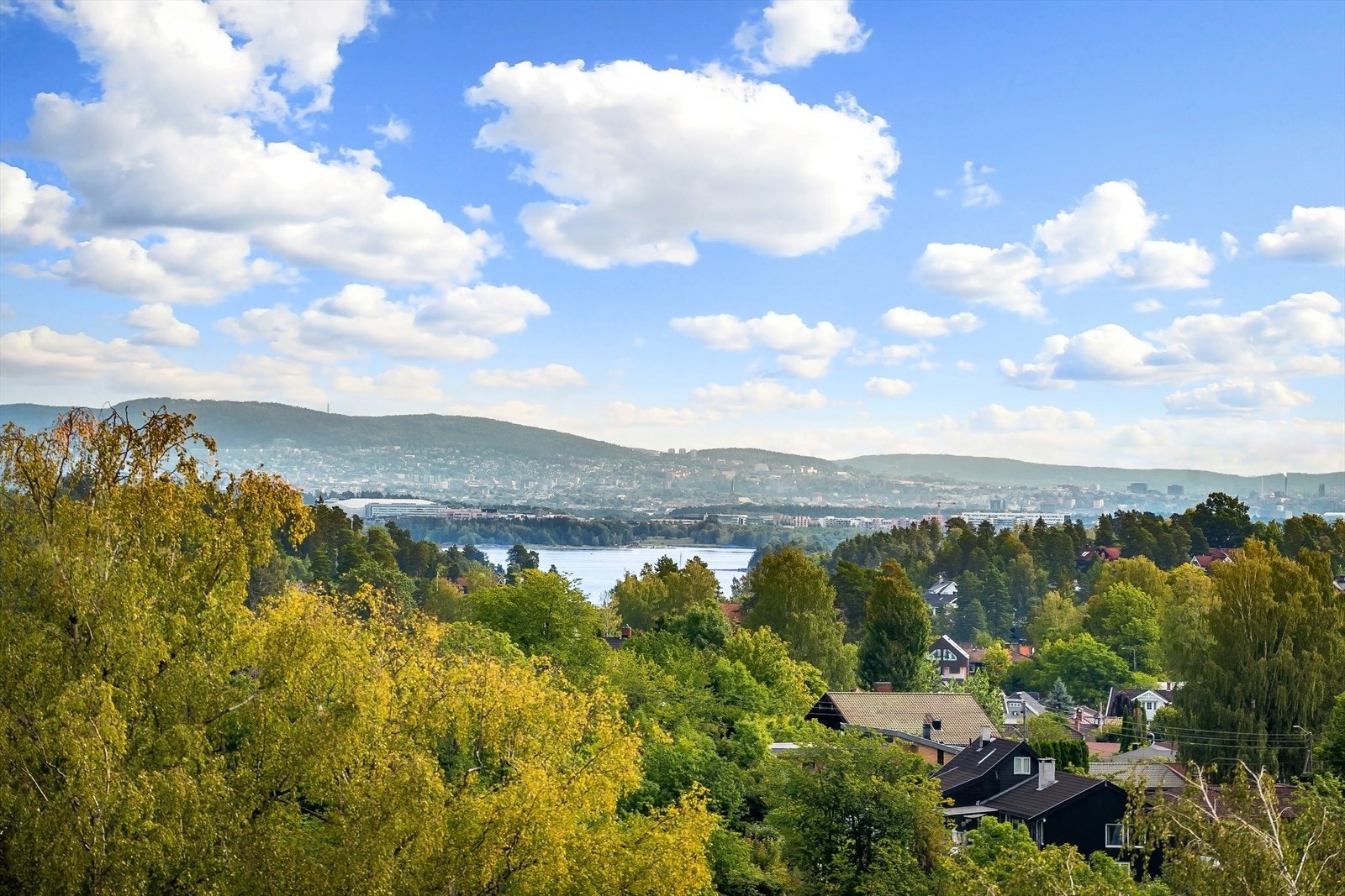 Flott utsikt mot fjorden Galleribilde