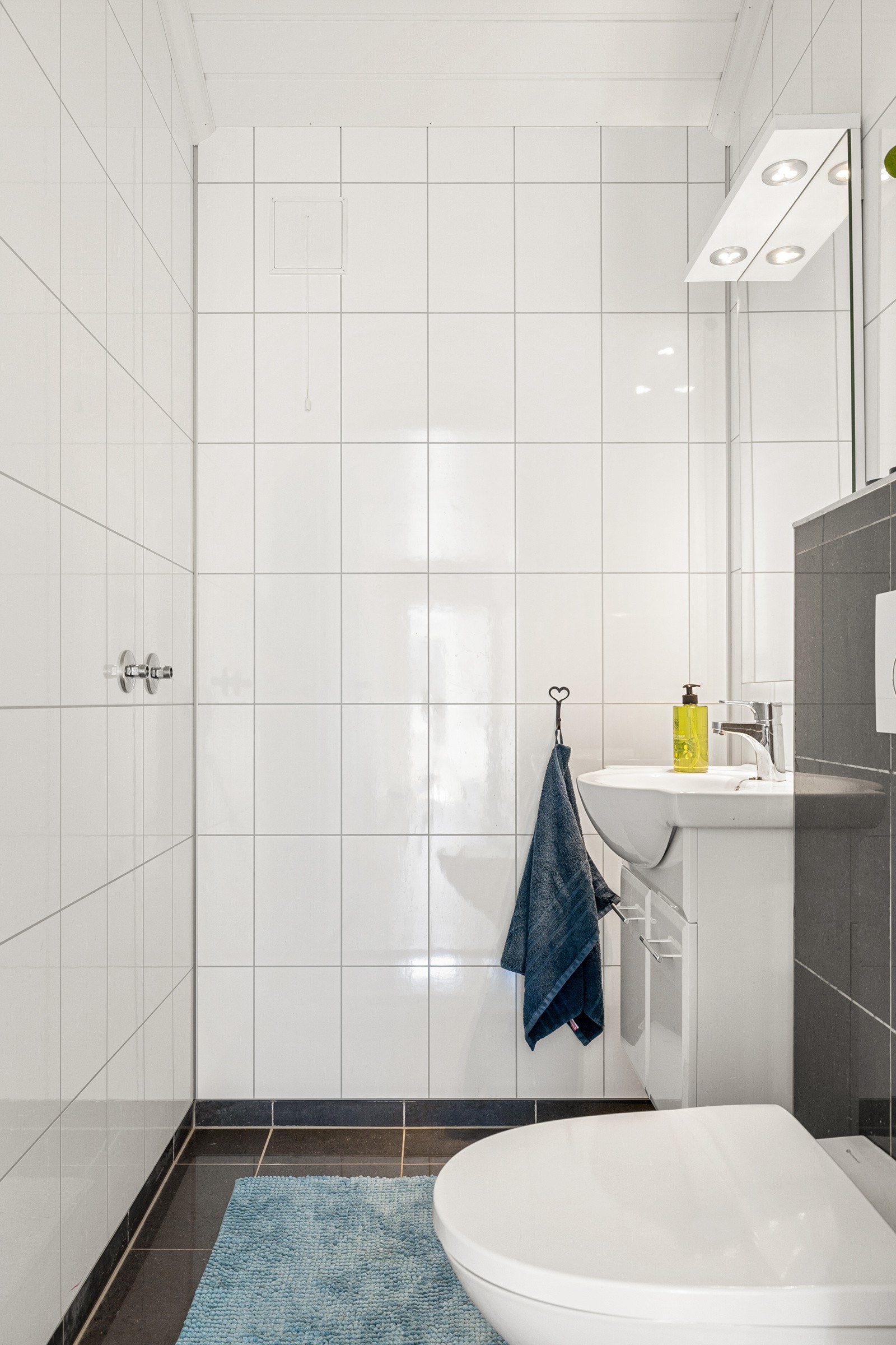 Gjestetoalett. Klartgjort med vann for dusj Galleribilde