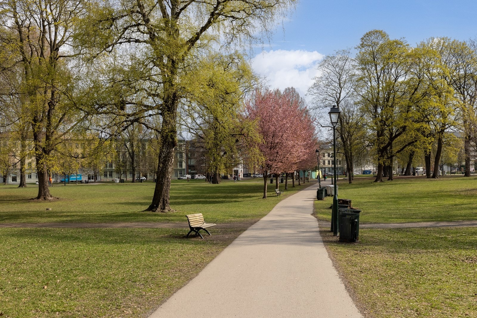 24-28.jpg Galleribilde