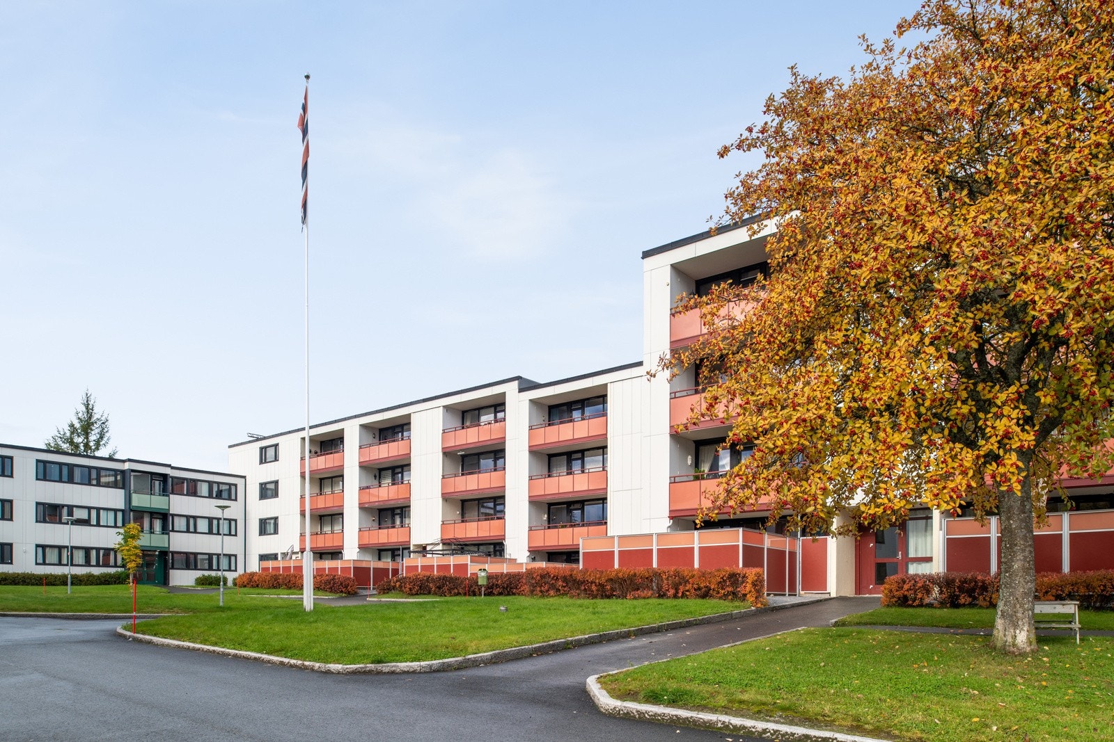 Velkommen til visning! Galleribilde