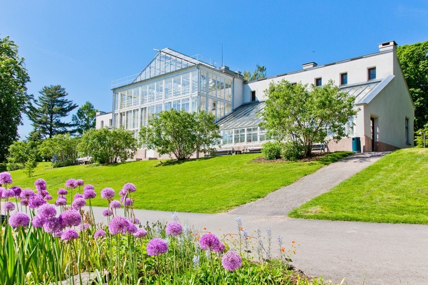 Nærområdet: Fantastiske Botaniske hage ligger kun en kort spasertur unna! Galleribilde