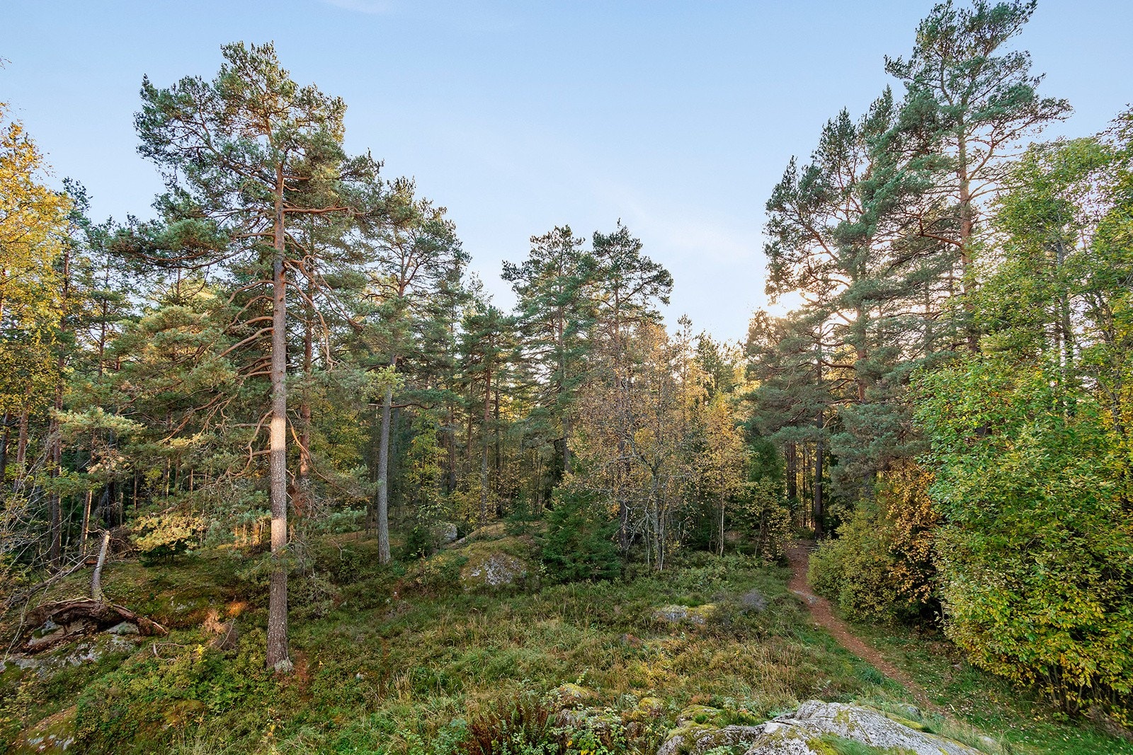 Fra balkongen får du denne fine utsikten. Galleribilde