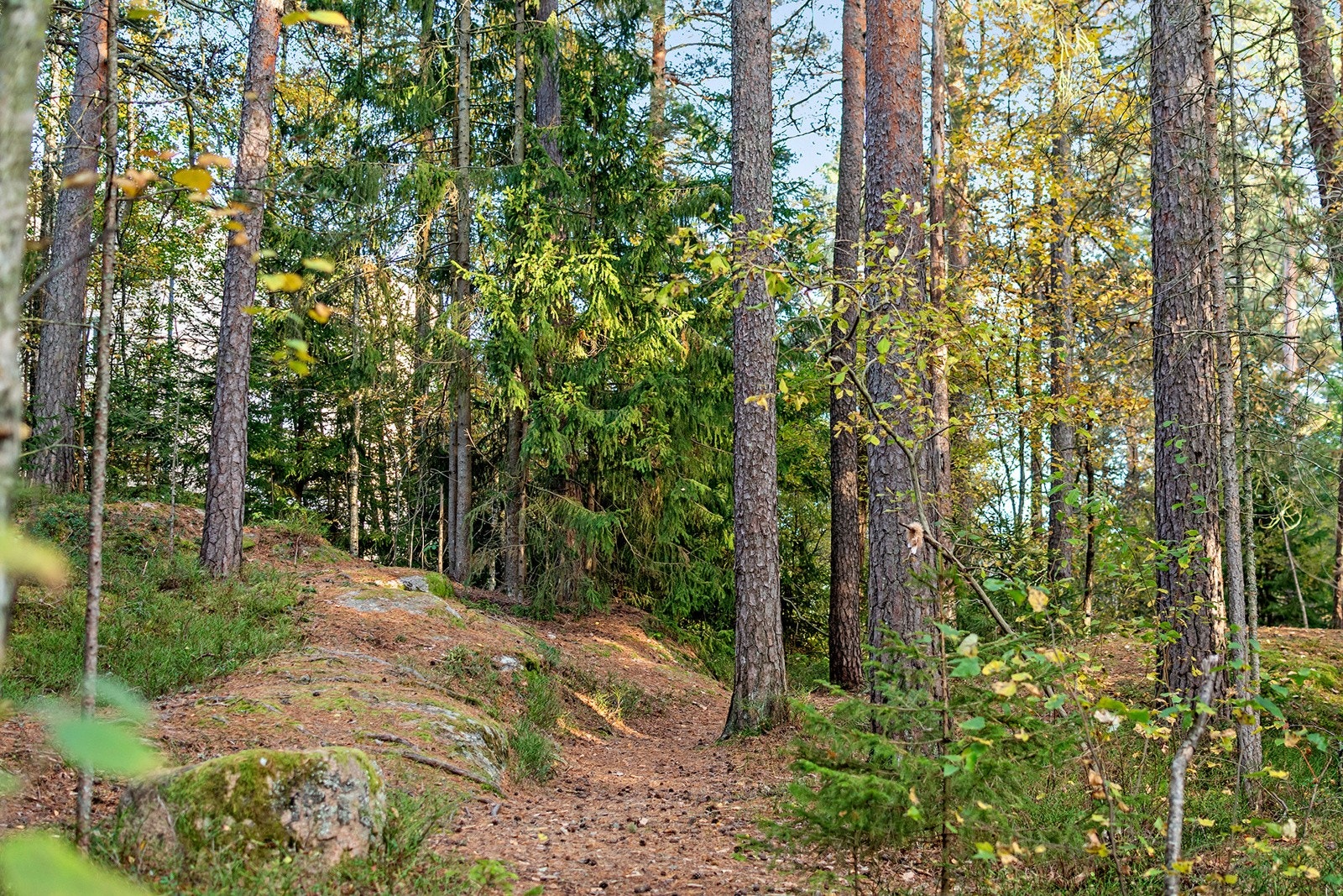 Rett ved leiligheten ligger også Lambertseters helt egne lysløype som er et populært turområde for beboerne i området både sommer og vinter. Her ifra er det også en gangvei som tar deg rett over til Skullerud og videre inn i Østmarka. Galleribilde