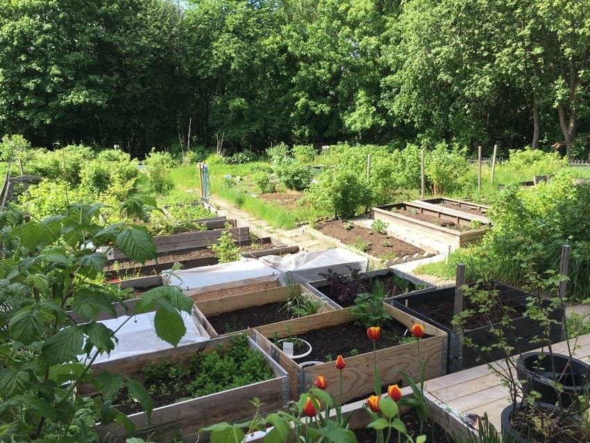 Parsellhage på eiendommen kan leies etter ønske og ansiennitet. Galleribilde