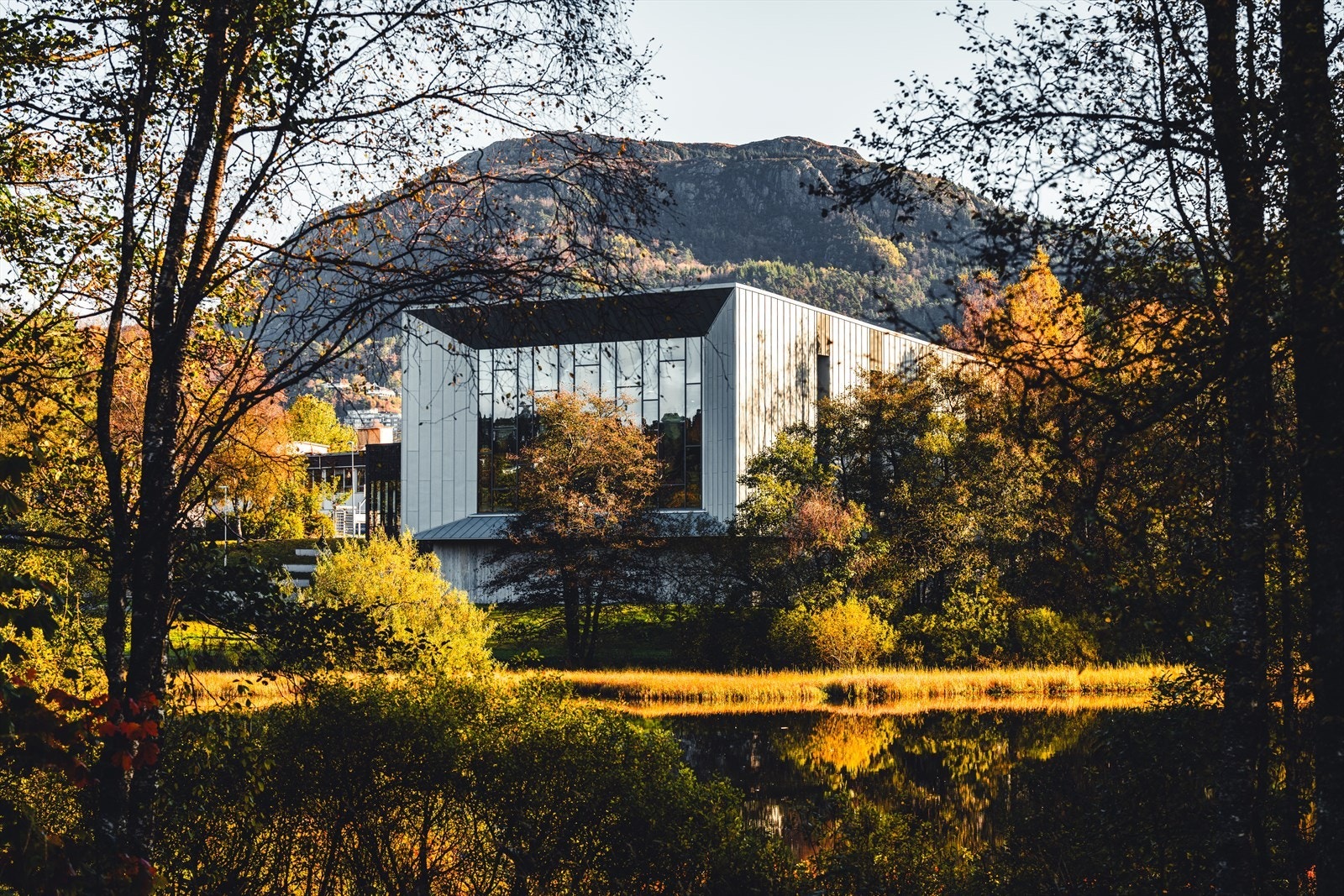 Nærområde Galleribilde