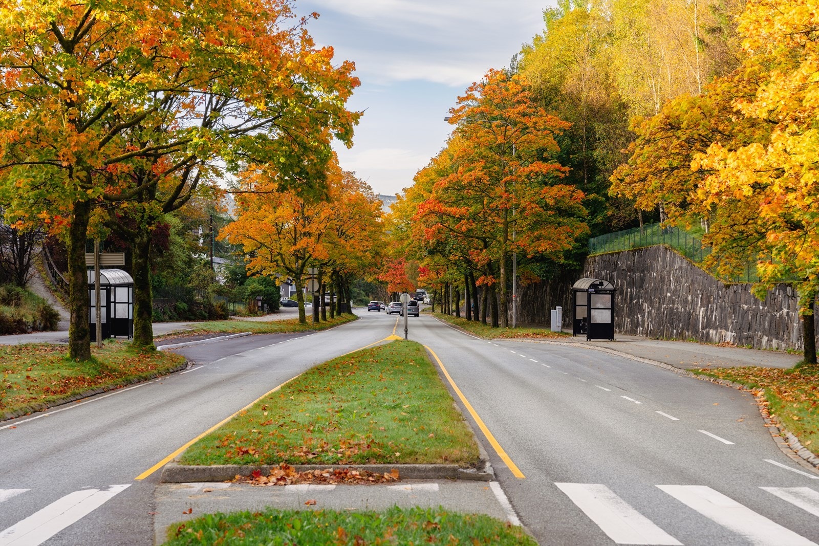 Nærområde Galleribilde