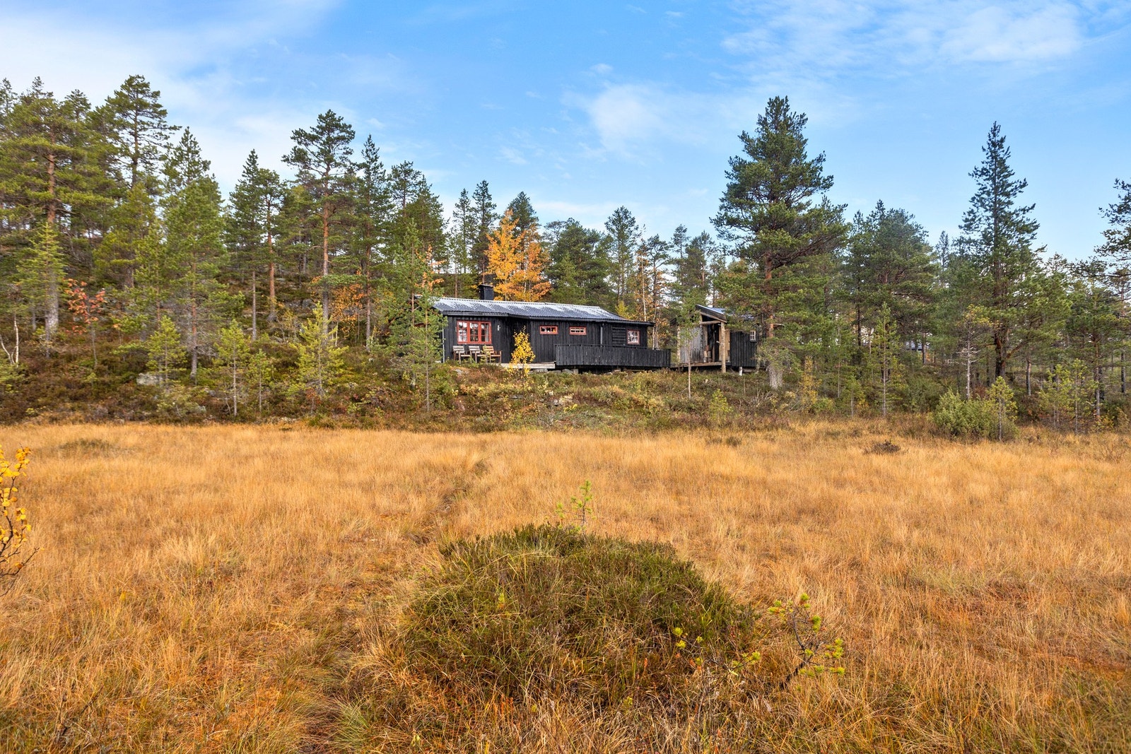 Øyingen er en populær destinasjon for de som er glad i fiske, jakt og turgåing Galleribilde