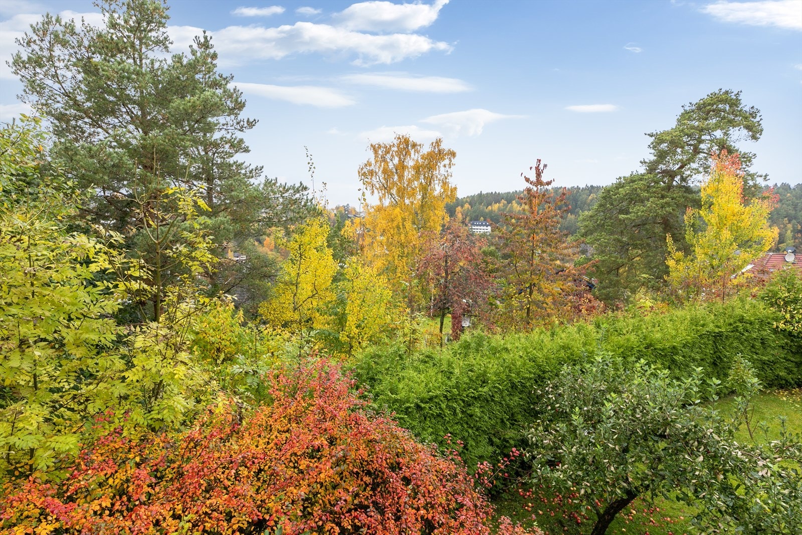 Her bor du med kort avstand til det du trenger i hverdagen Galleribilde