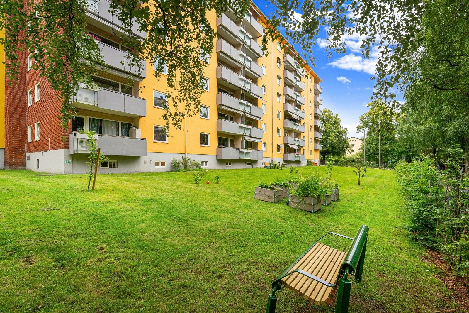 Store flotte fellesareal til borettslaget. Galleribilde