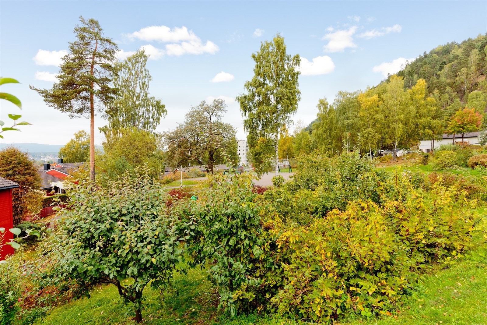 Akebakkeskogen har egen frukt- og bærhage til glede for store og små Galleribilde