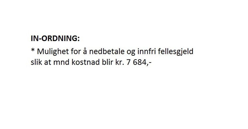 IN-ordning Drammen Galleribilde