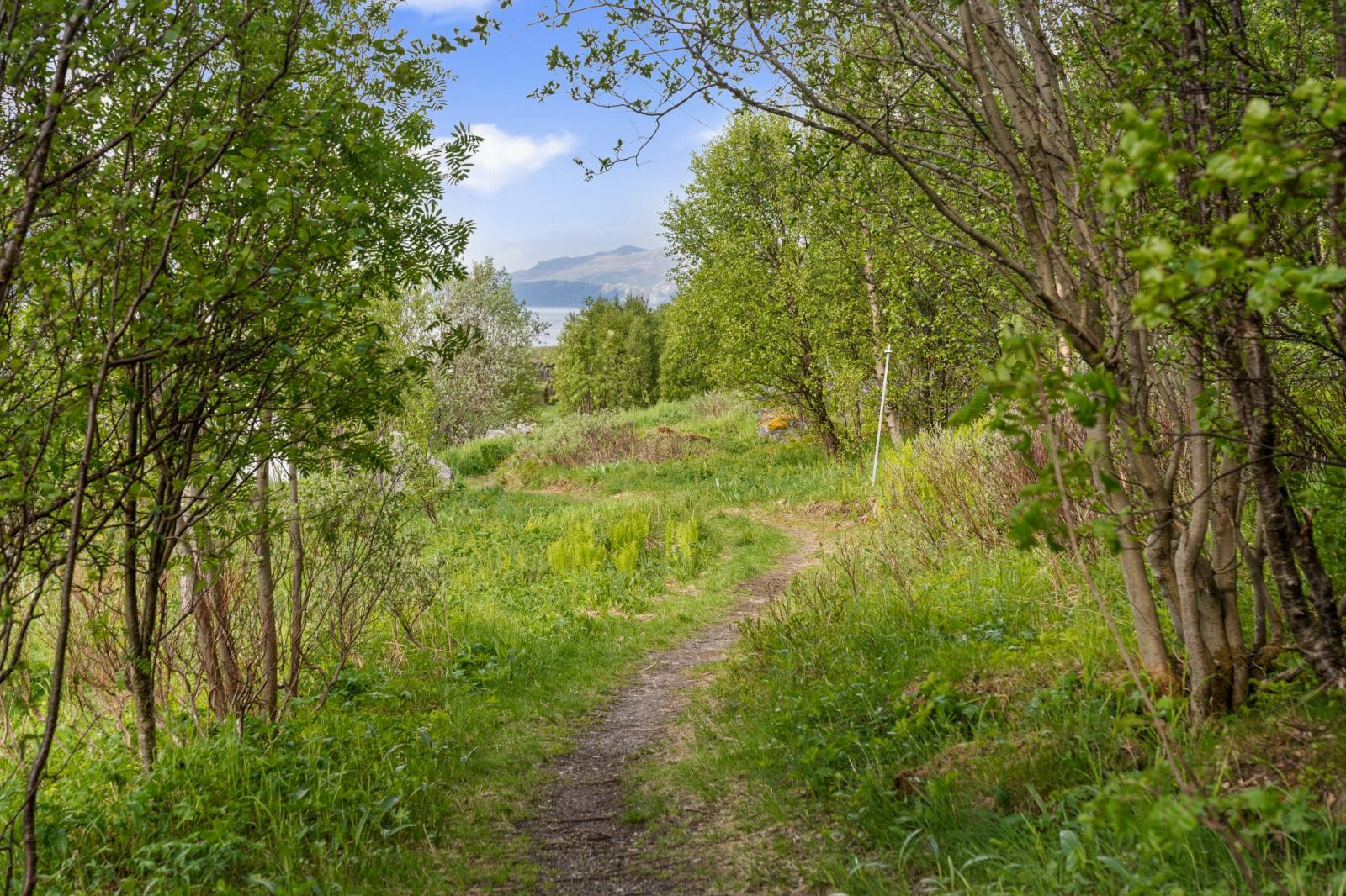 Eiendommen ligger veiløst, ca. 1 km fra enden av Innelvvegen.