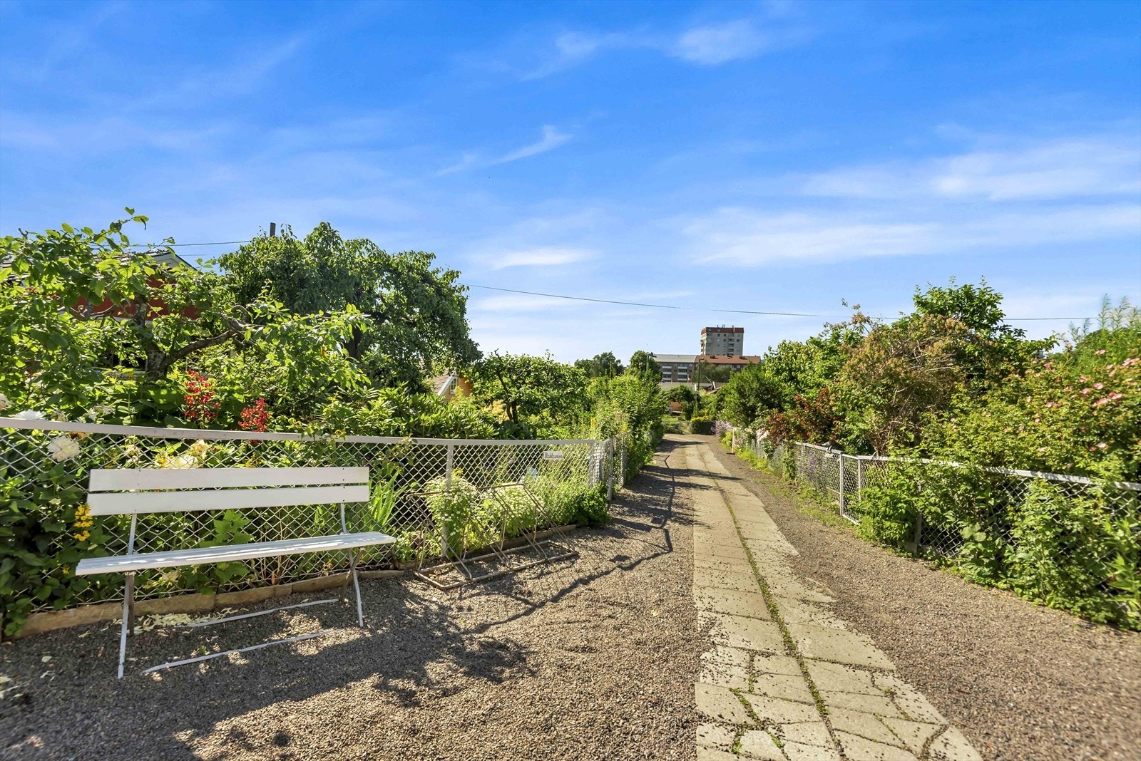 Rodeløkkens kolonihager er Norges eldste kolonihage. Her kan du ta en fin søndagstur blant koselig småhusidyll Galleribilde