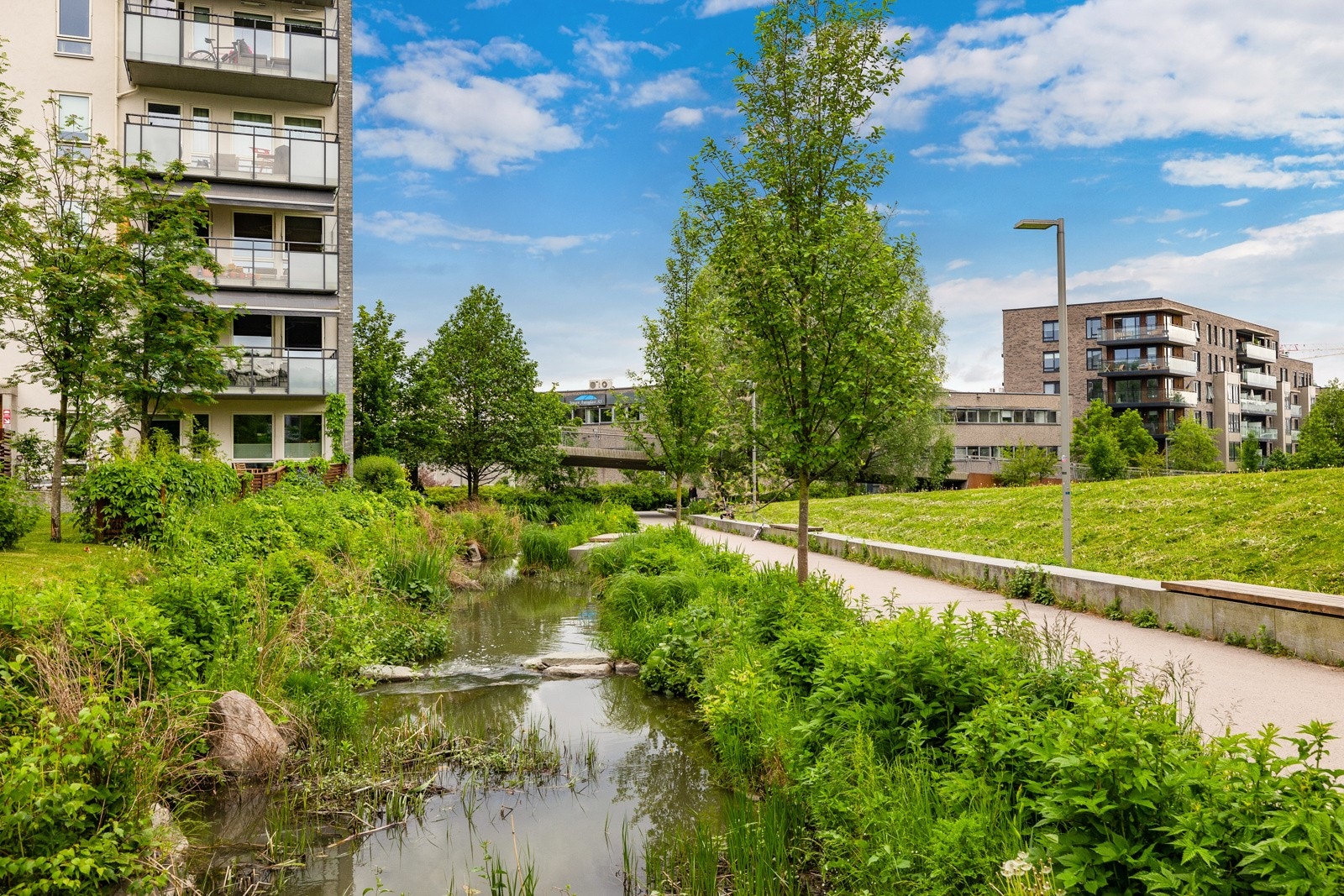 Nærområdet er svært koselig å oppholde seg på! Galleribilde