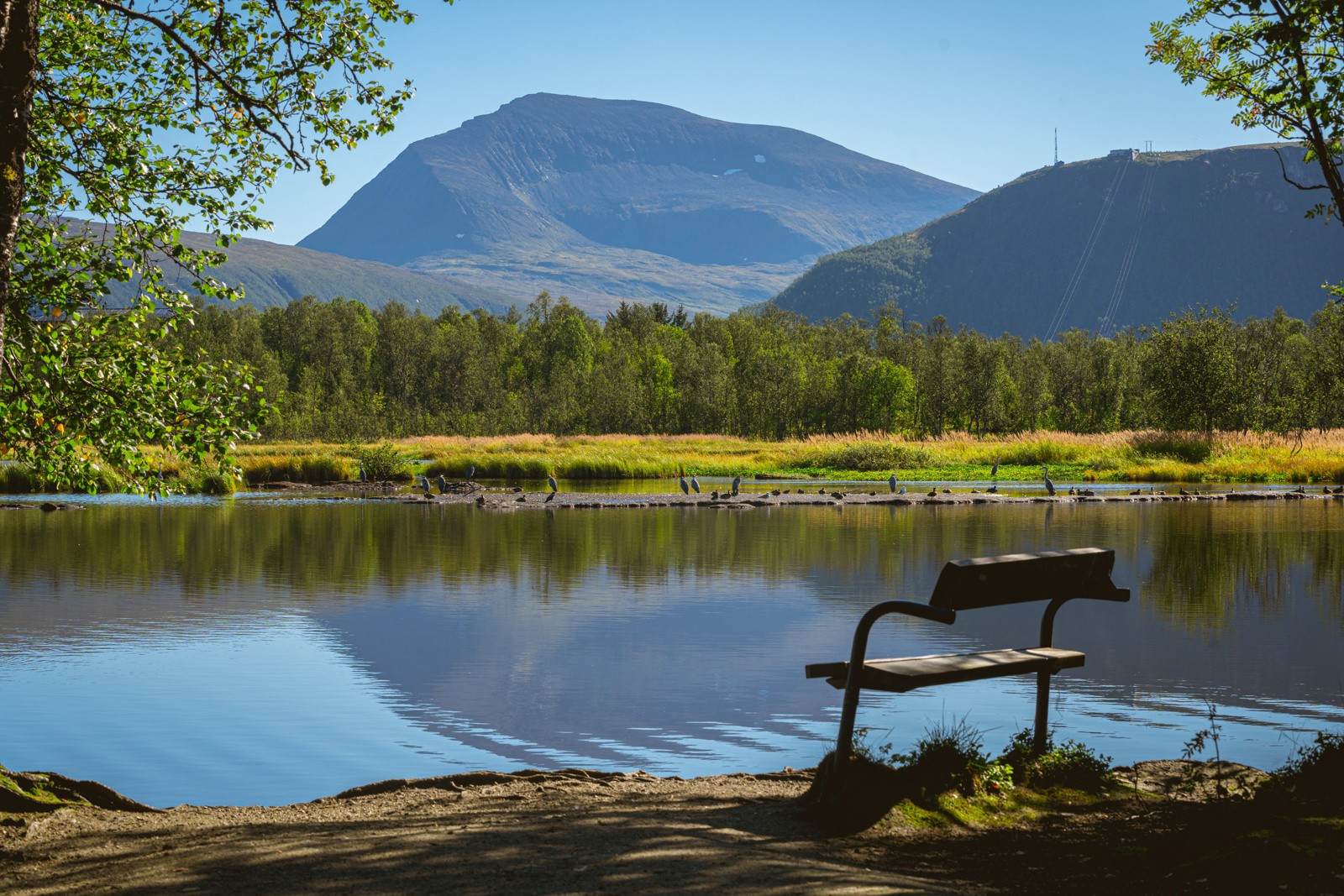 Det er kort vei til idylliske Prestvannet med turløype og sittebenker