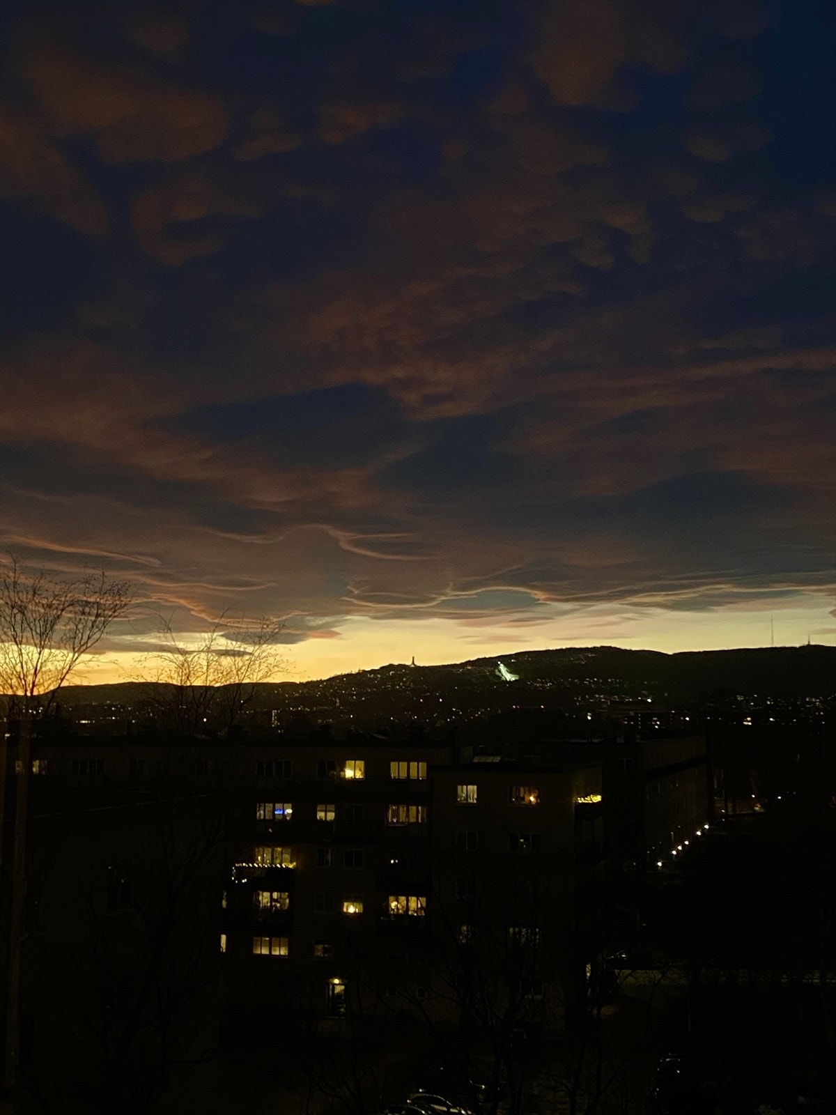 Bilde tatt av eier Galleribilde