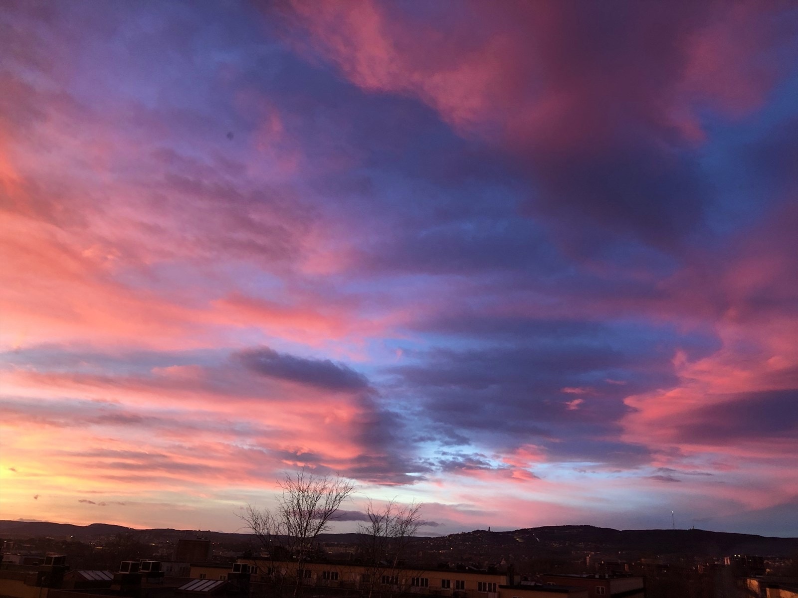 Bilde tatt av eier Galleribilde