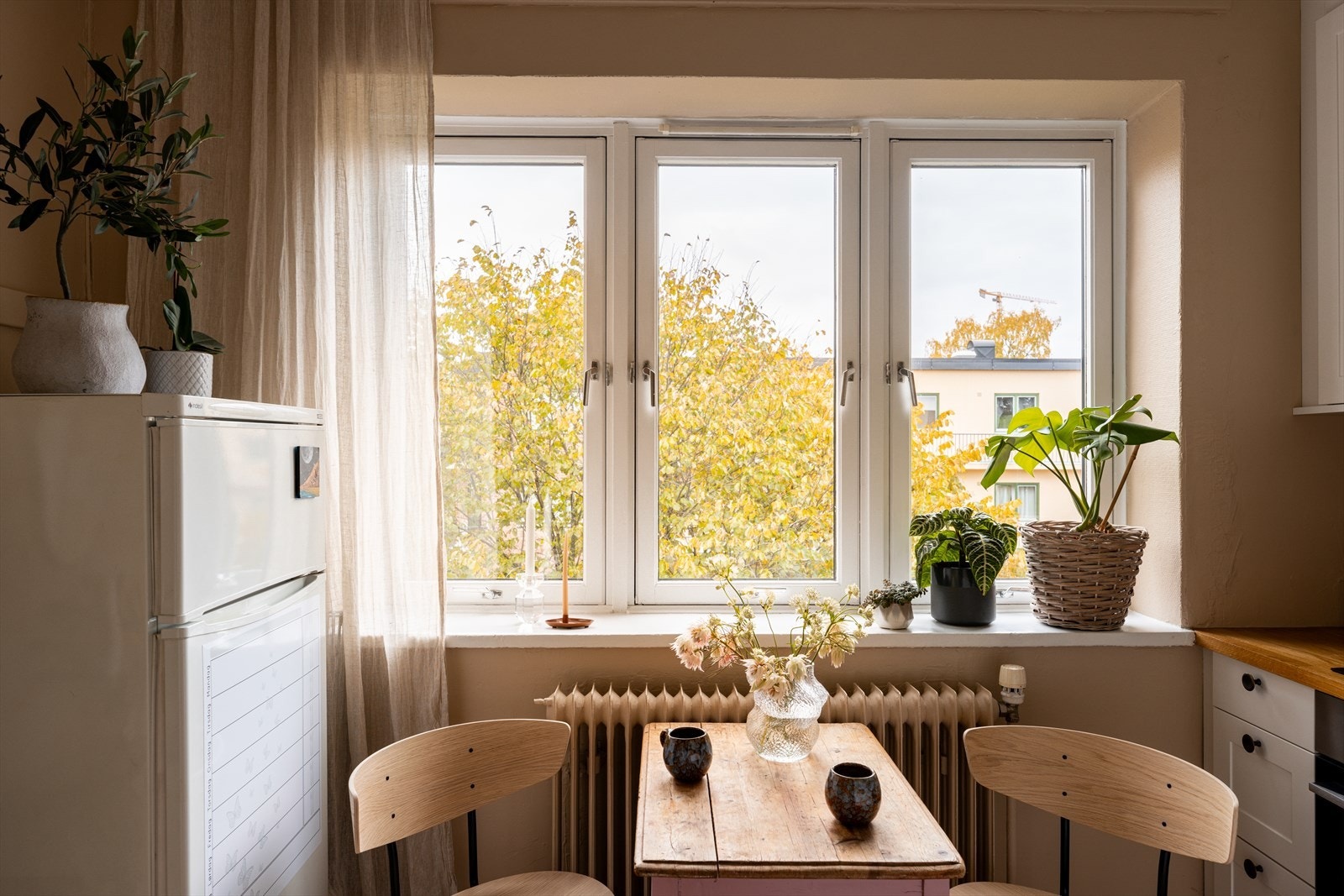 Vinduene i boligen har brede karmer, med plass til planter og annet dekor. Galleribilde