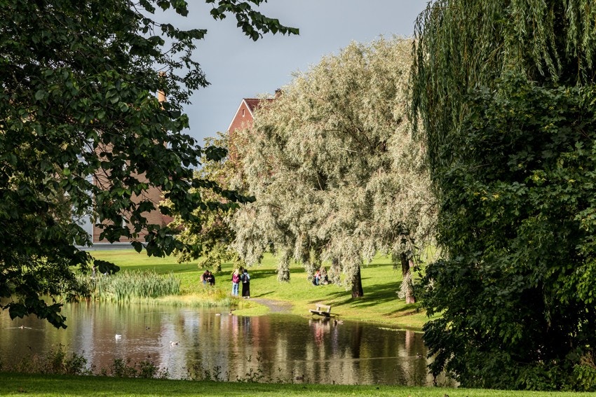 Hovindammen er et populært friluftsområde med badedam og yrende dyreliv. Kun få minutter unna. Galleribilde