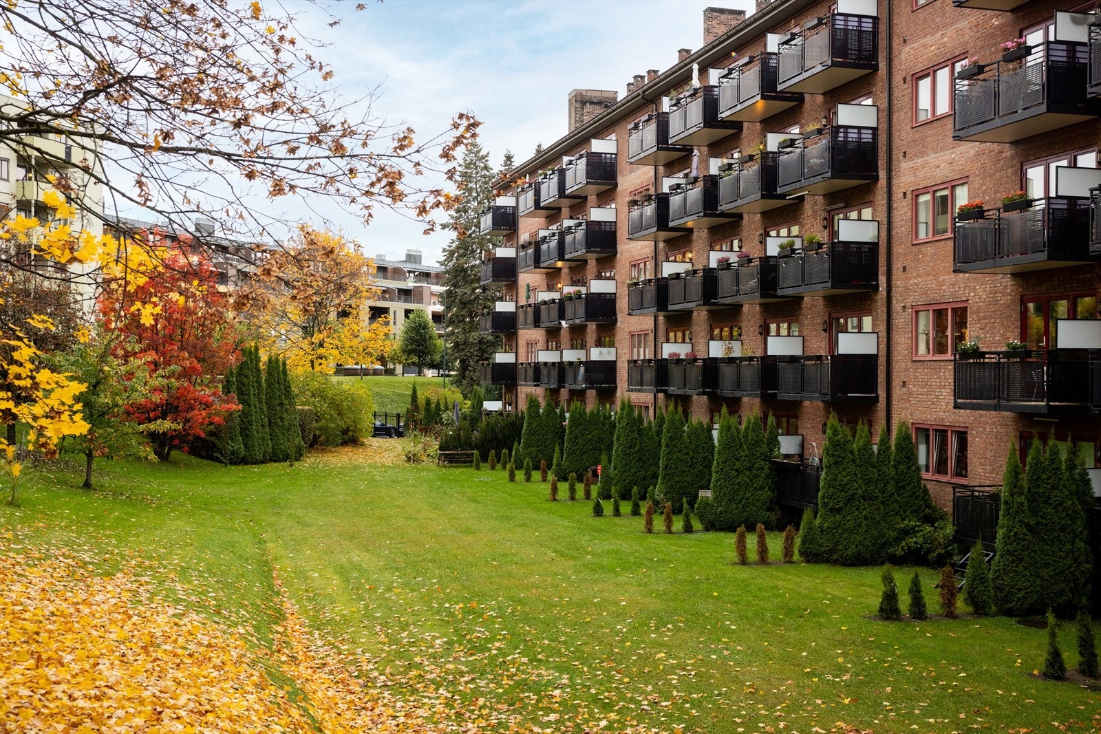 Borettslaget har 162 parkeringsplasser. 9 av disse er gjesteplasser som leies ut mot betaling på automat. Galleribilde