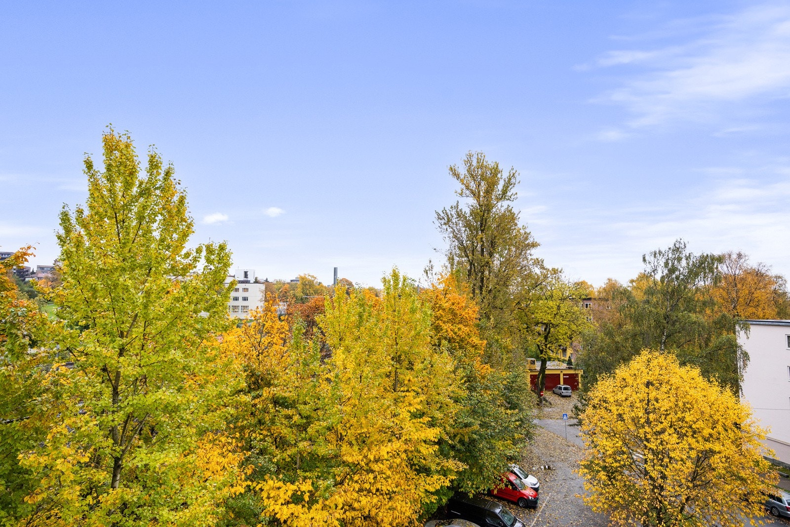 Grønn og frodig utsikt fra vinduene, her bor du uten gjenboere. Galleribilde