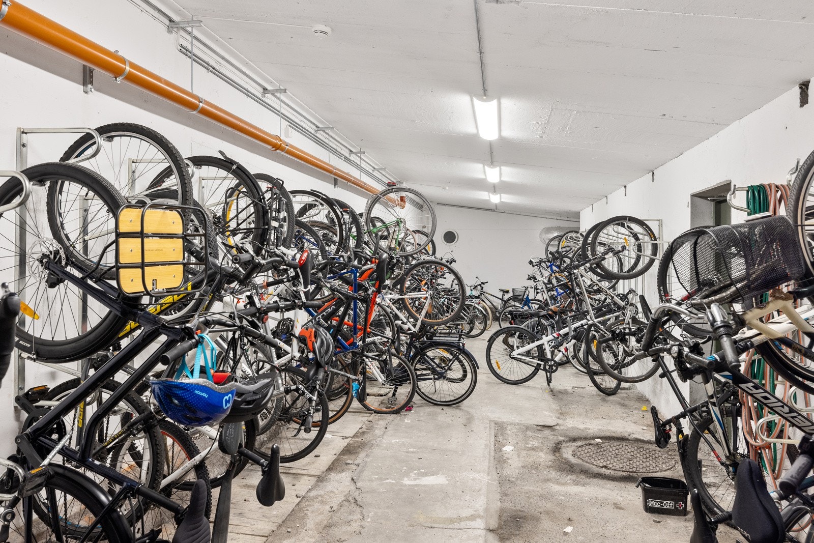 Felles sykkelbod. Galleribilde