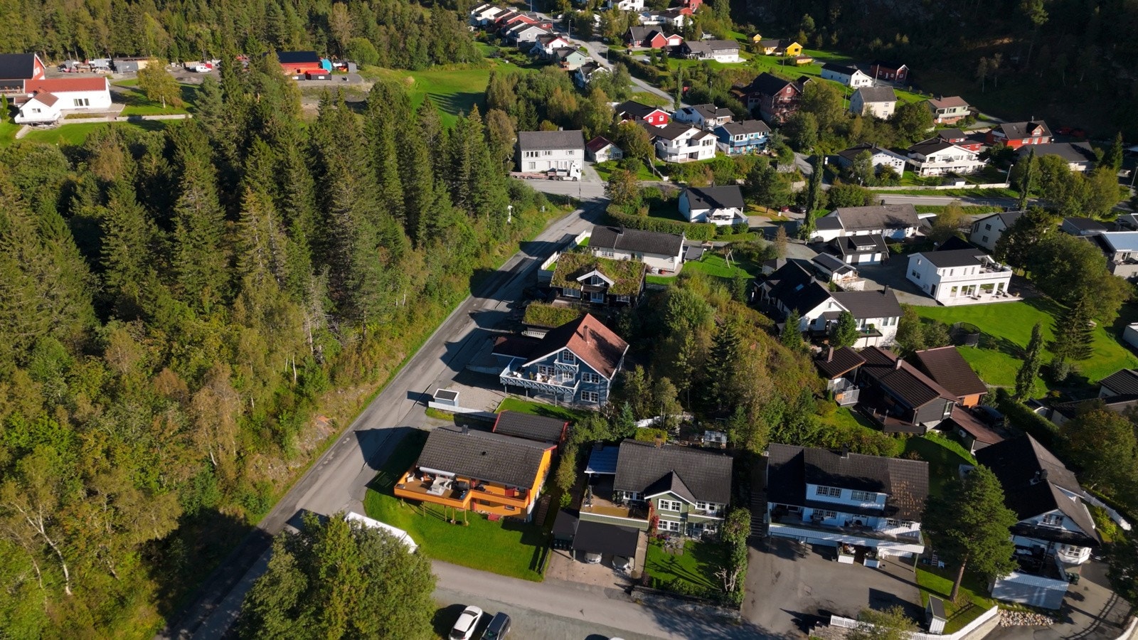 Velkommen til visning! Galleribilde