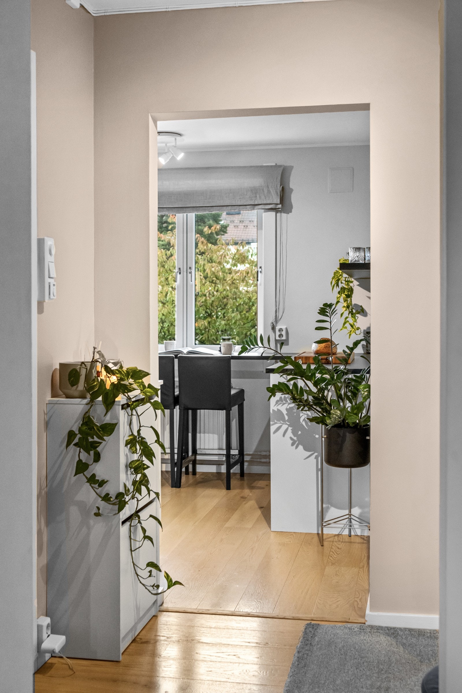 Velkommen inn på kjøkkenet Galleribilde