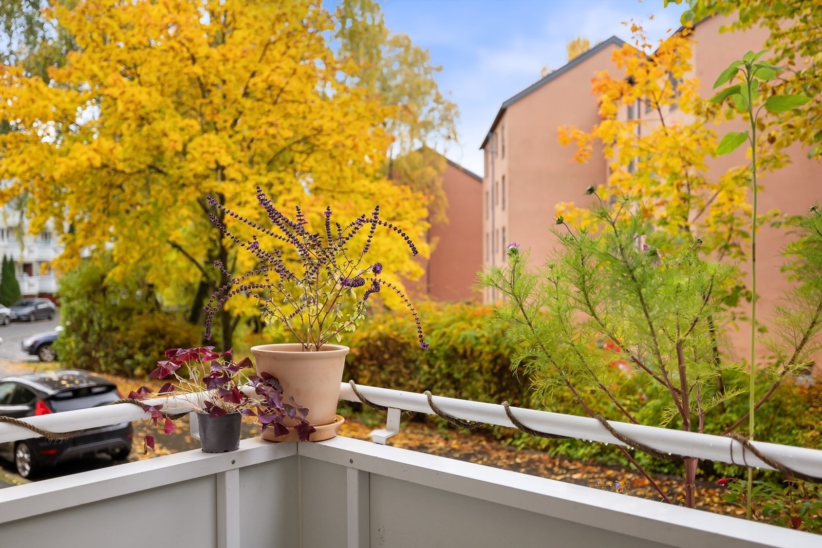 En herlig balkong på 3 kvm med plass for liten sittegruppe, grill og beplantning Galleribilde
