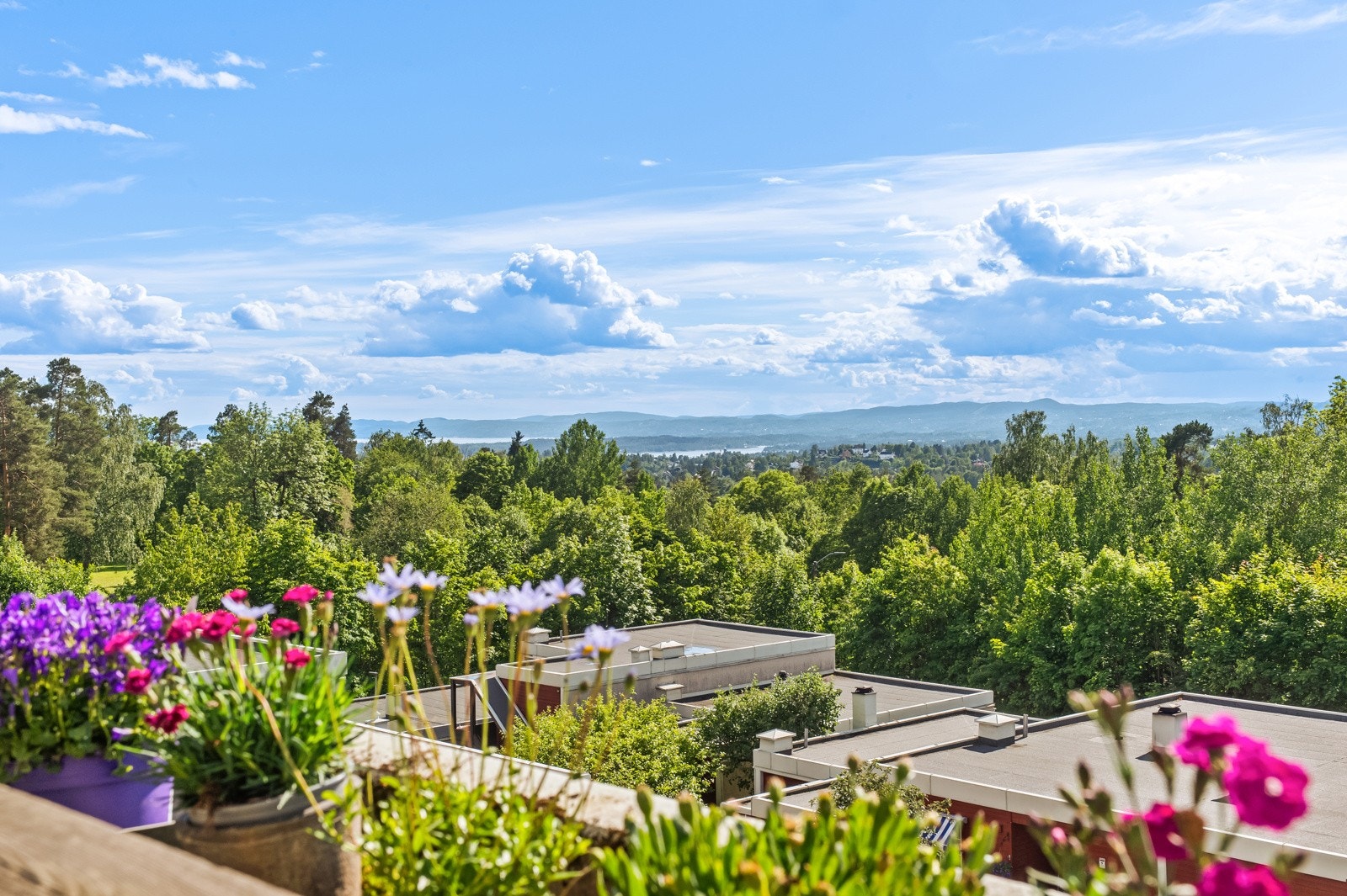 En lys og gjennomgående leilighet med balkong og terrasse. Galleribilde