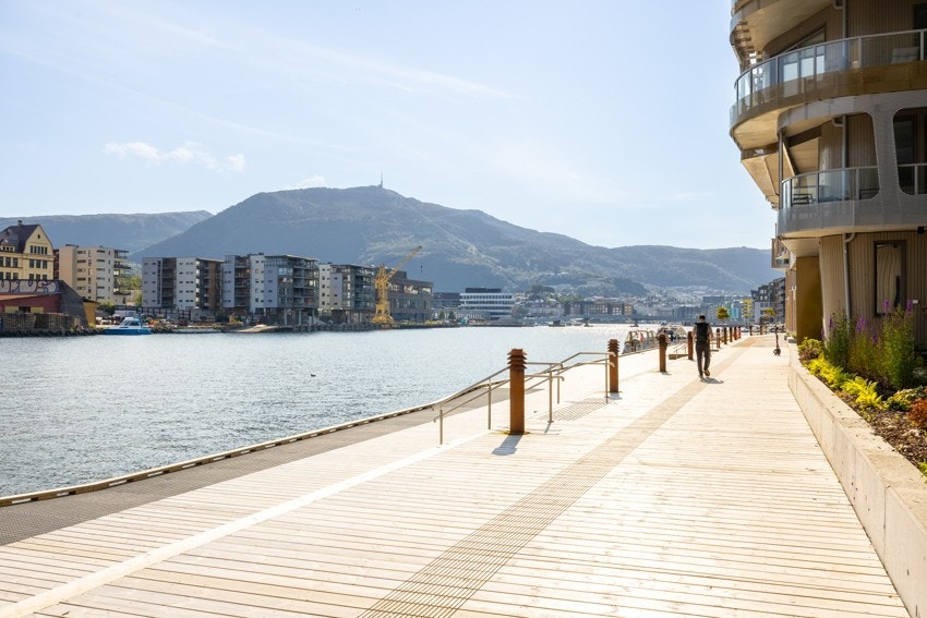 Nydelige nyppført brygge/badeplasser langs hele Damsgårdssundet Galleribilde