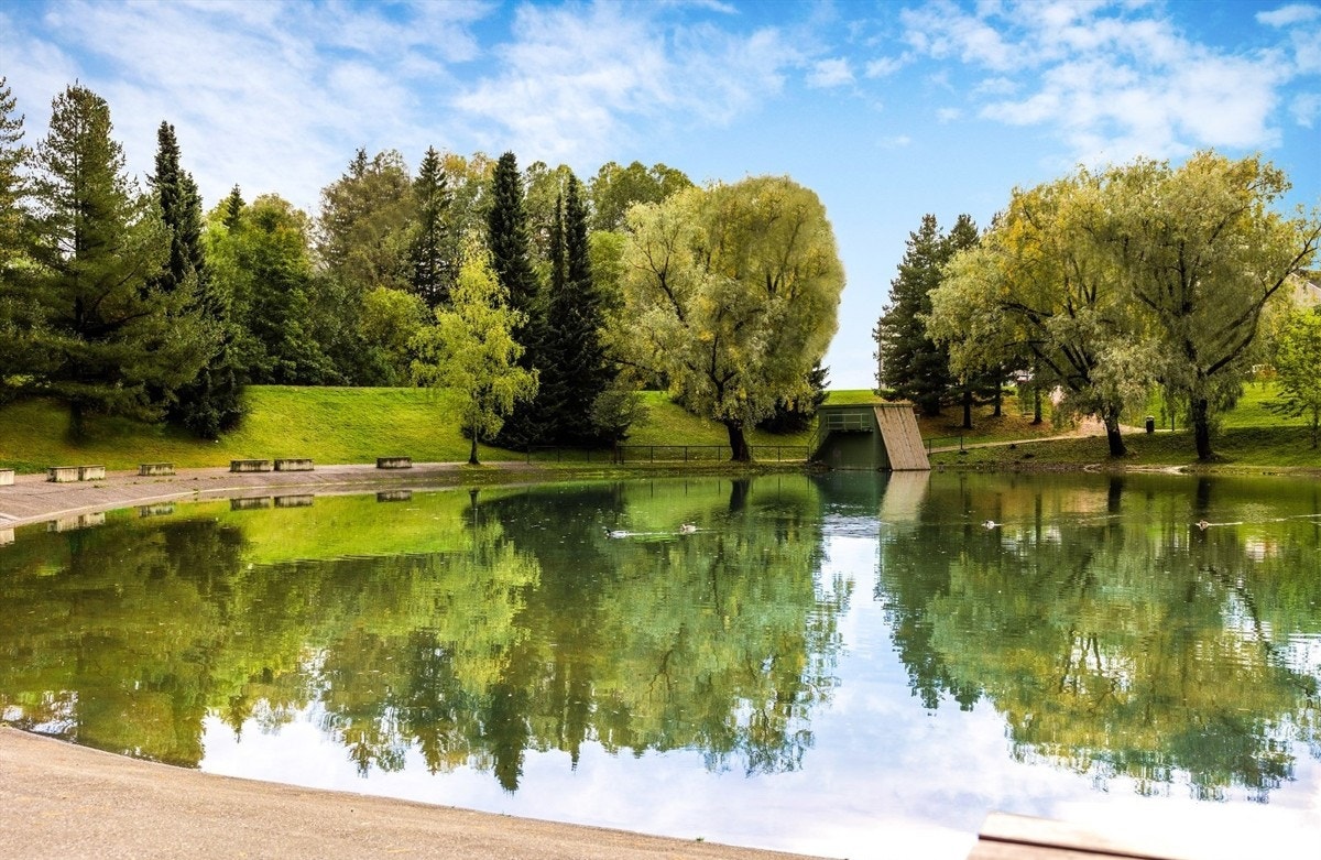 Nærområde. Galleribilde