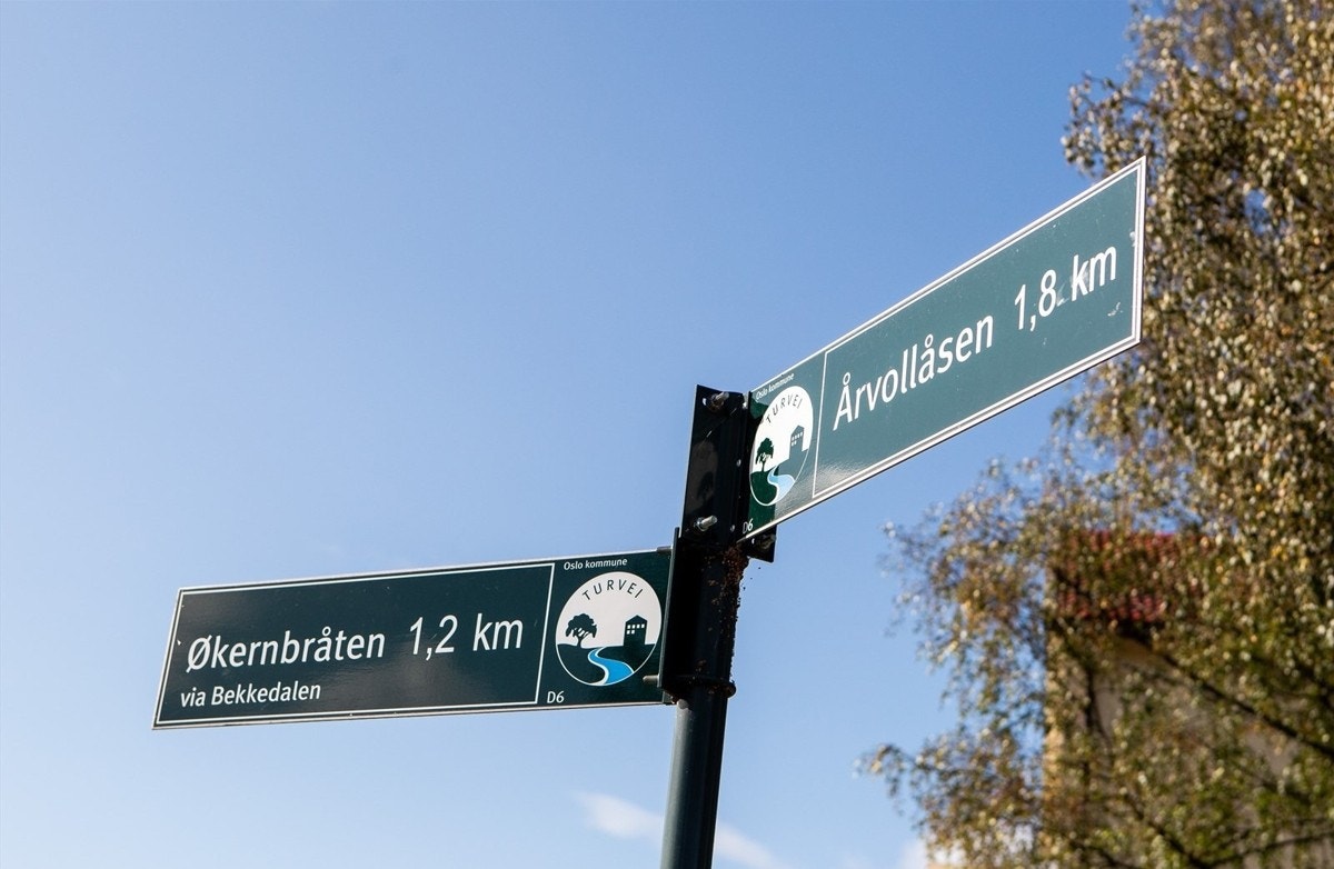 Nærområde. Galleribilde