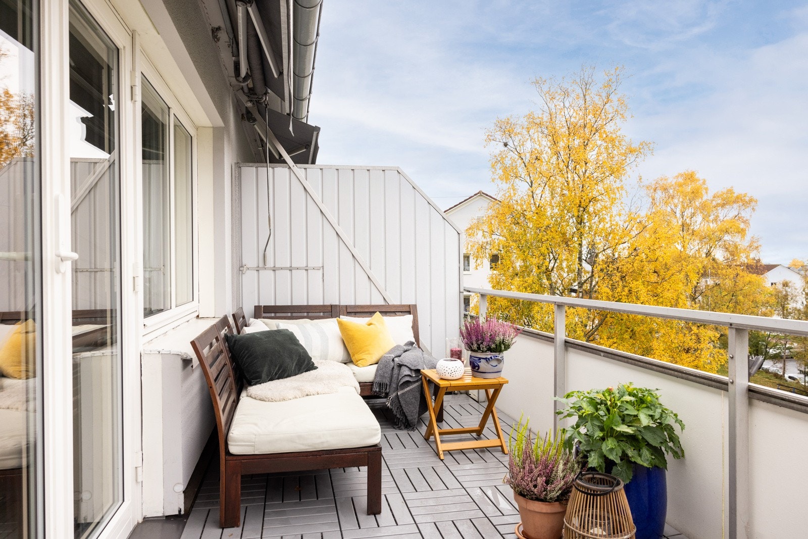 Supre lys- og solforhold. Galleribilde