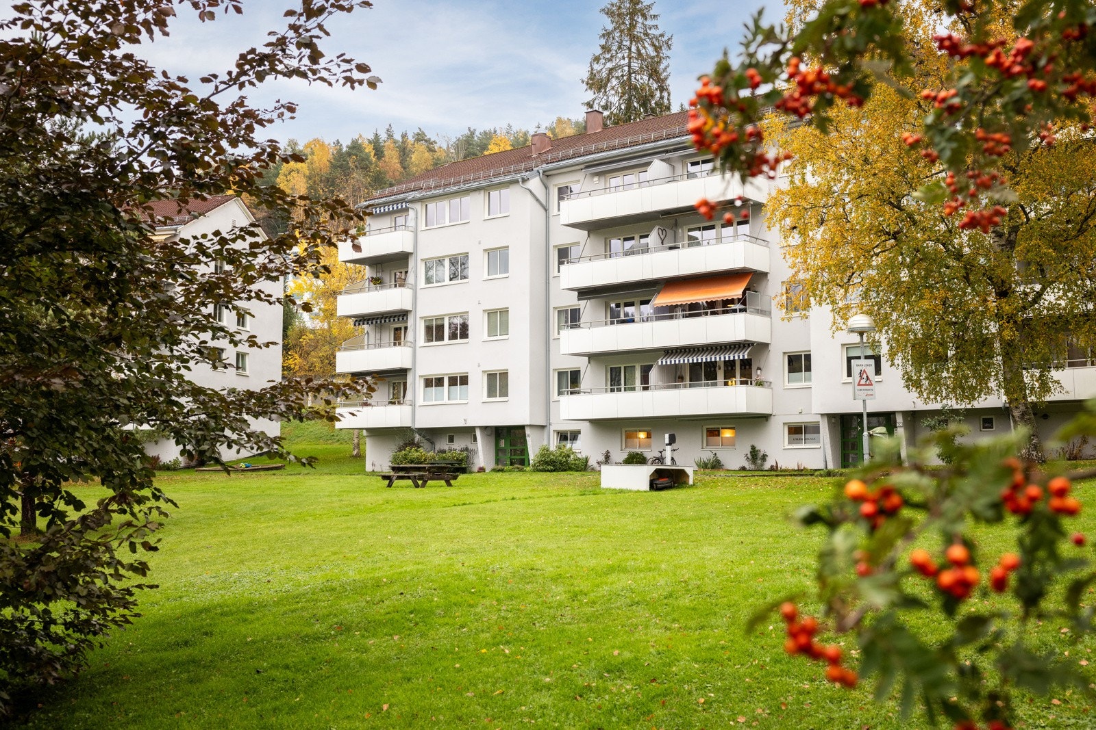 Grønt og frodig! Galleribilde