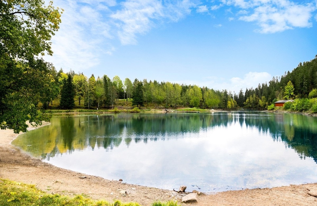 Nærområde. Galleribilde