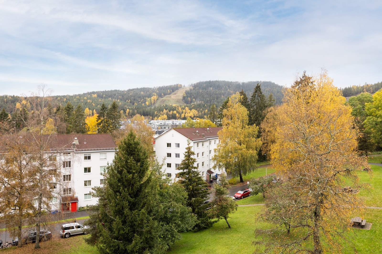 Flott utsikt. Galleribilde