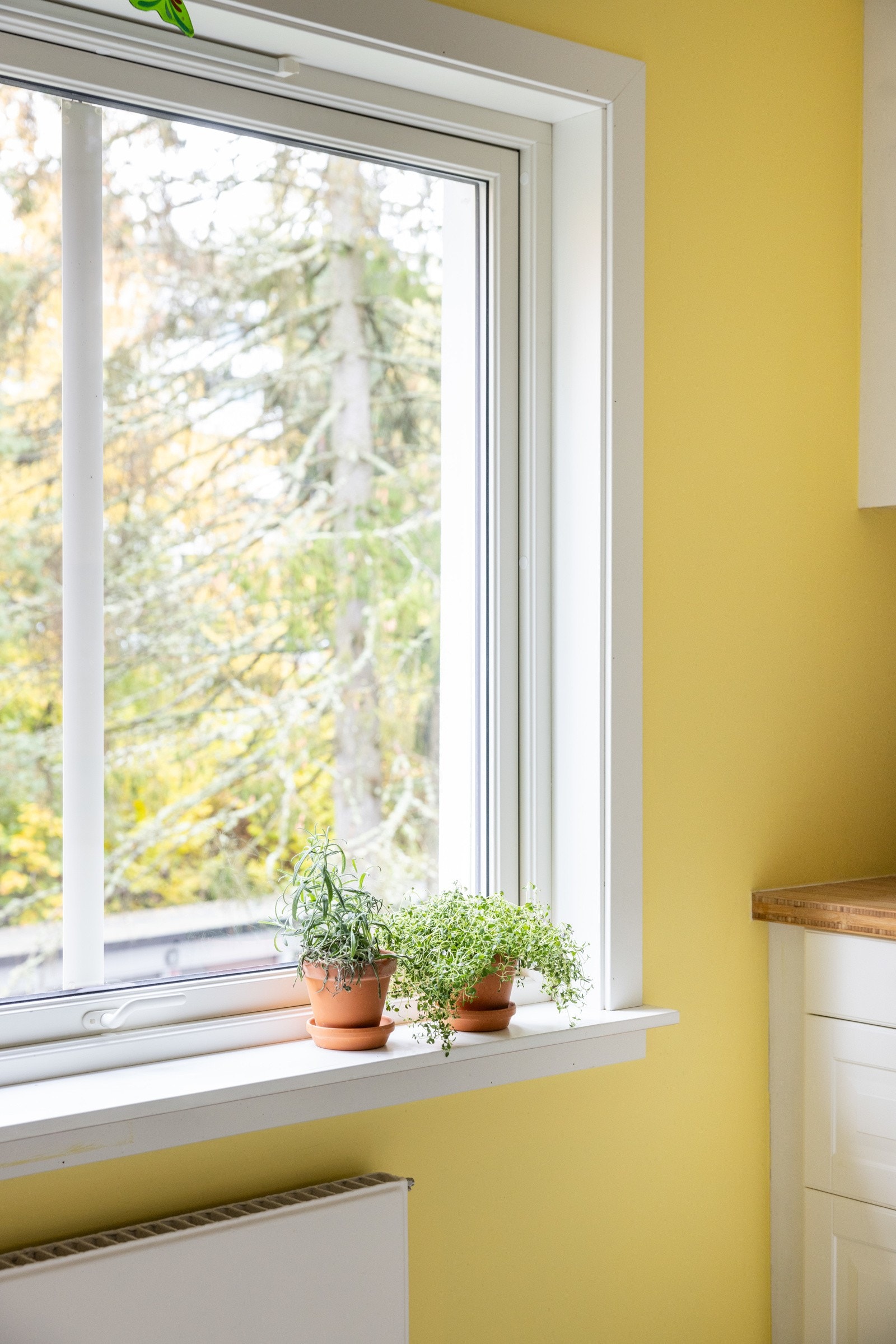 Hyggelig utsikt fra kjøkkenvinduet. Galleribilde